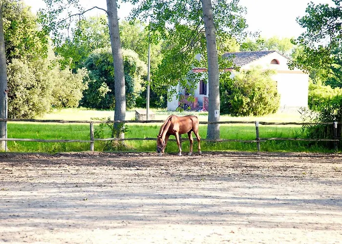 Bosco Canoro 4* Бибионе