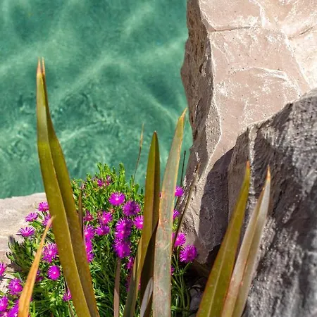 Bosco Canoro Ξενοδοχείο με διαμερίσματα Μπιμπιόνε