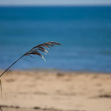 Bosco Canoro Ξενοδοχείο με διαμερίσματα