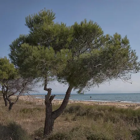 Ξενοδοχείο με διαμερίσματα Bosco Canoro 4*
