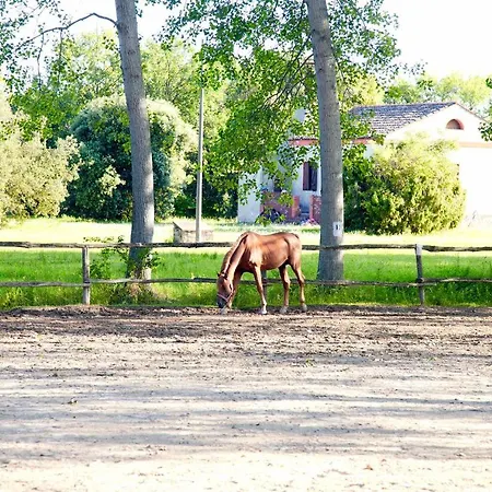 Bosco Canoro 4* Μπιμπιόνε