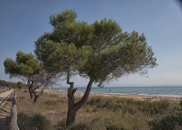 Apartahotel Bosco Canoro 4*